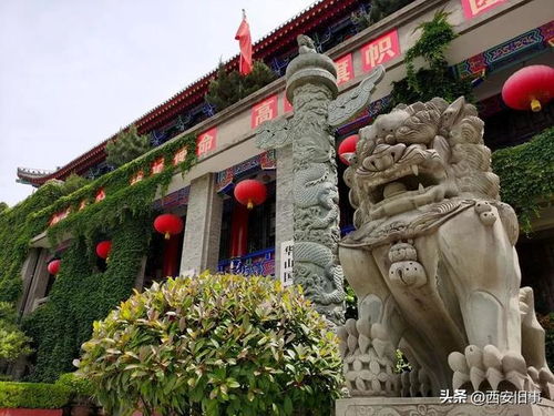 劉俊奇與貞奇文化 北大街上的古都文化底蘊(yùn)